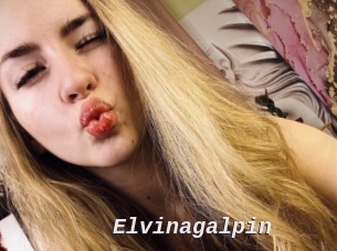 Elvinagalpin