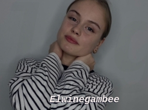 Elwinegambee