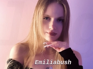 Emiliabush