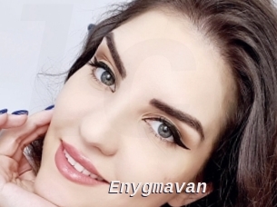 Enygmavan