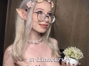 Erlinacurvey