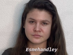 Esmehandley