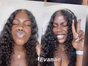 Evamae
