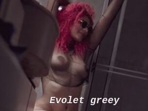 Evolet_greey