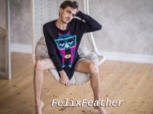 FelixFeather