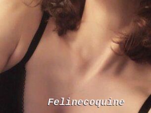 Felinecoquine