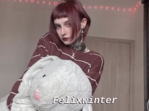 Felixwinter