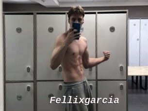 Fellixgarcia