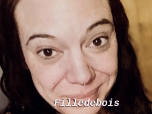 Filledebois