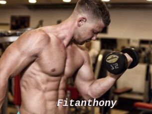 Fitanthony
