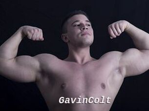 GavinColt