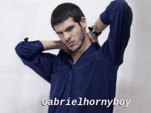 Gabrielhornyboy