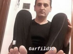 Garfild18