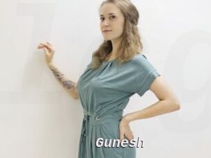 Gunesh