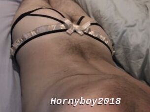 Hornyboy2018