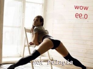 Hot_Pelagia