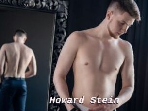 Howard_Stein