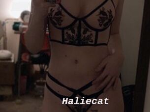 Haliecat