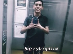Harrybigdick