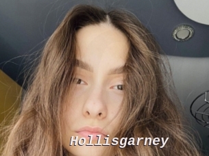 Hollisgarney