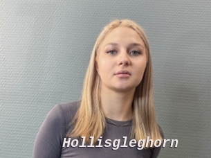 Hollisgleghorn