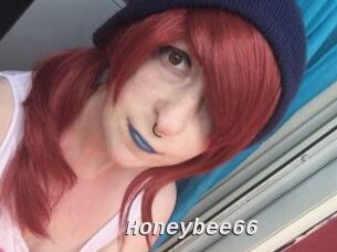 Honeybee66