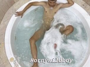 Hornywildboy