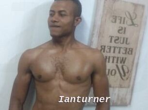 Ianturner