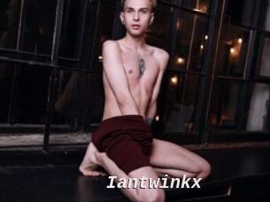 Iantwinkx