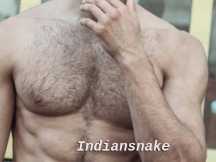 Indiansnake