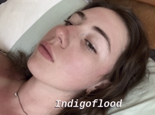 Indigoflood