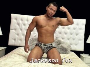 Jacksson_fox