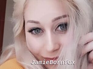 JamieBornfox