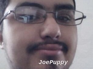 JoePuppy