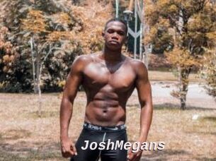 JoshMegans