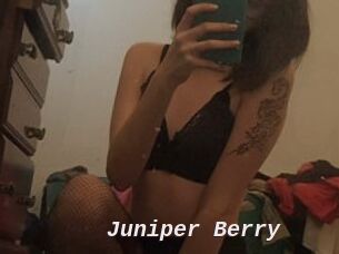 Juniper_Berry