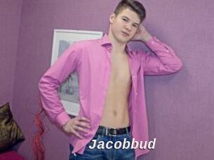 Jacobbud