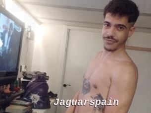 Jaguarspain