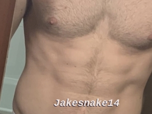 Jakesnake14