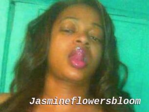 Jasmineflowersbloom