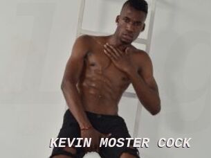 KEVIN_MOSTER_COCK