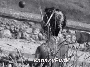KanaryPunk