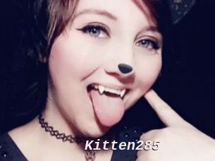 Kitten285