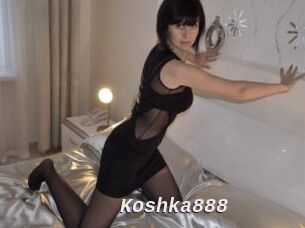Koshka888