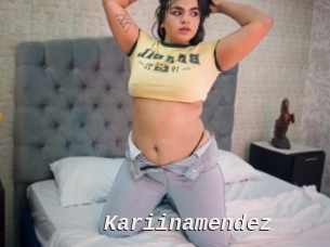 Kariinamendez