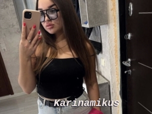 Karinamikus