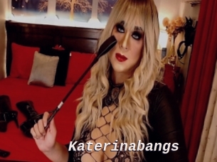 Katerinabangs