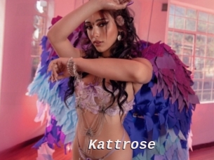 Kattrose