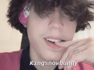 Kingsnowbunny