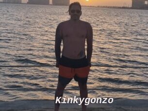 Kinkygonzo
